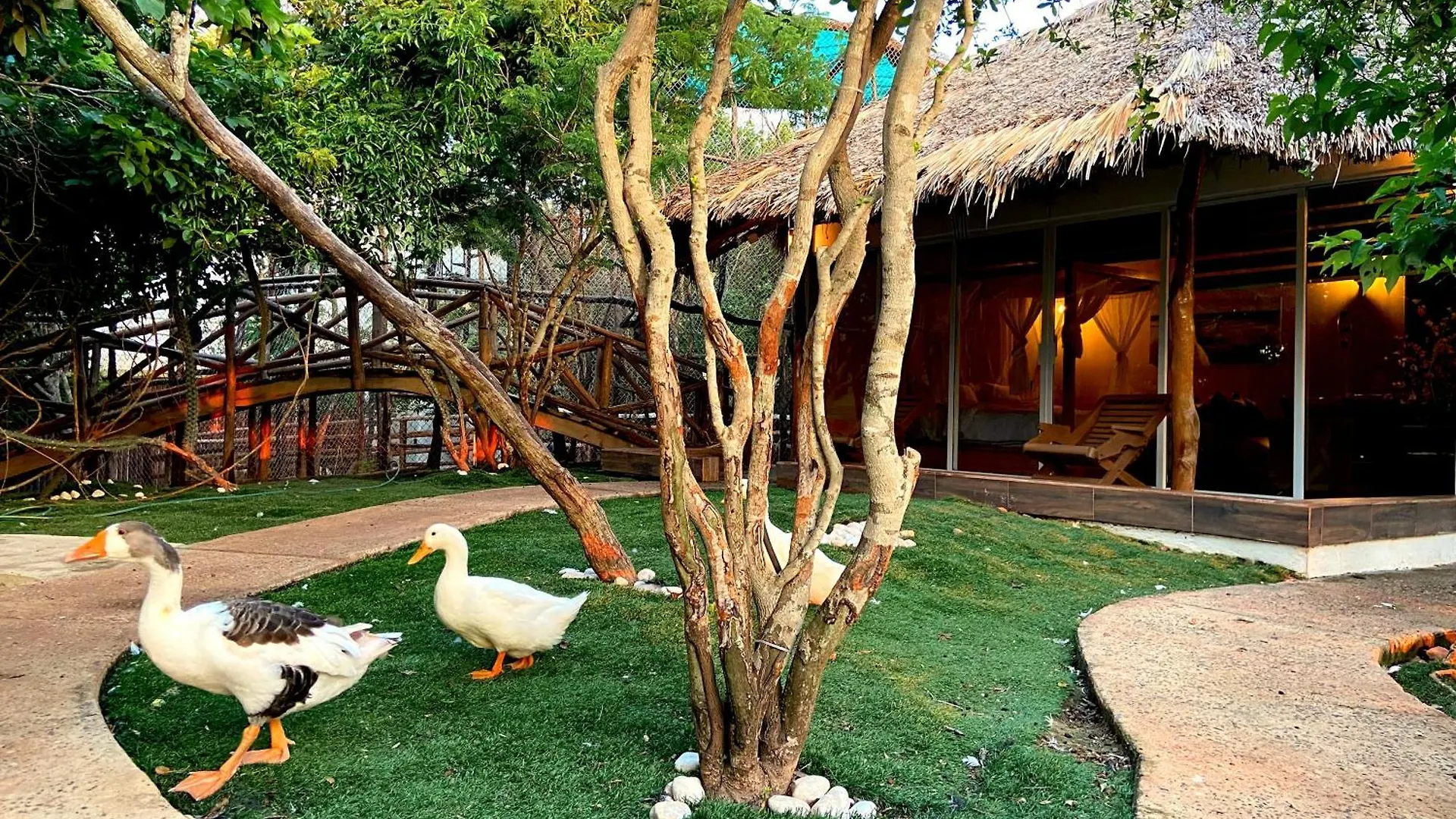 Palm Valley Cabins Mazatlán
