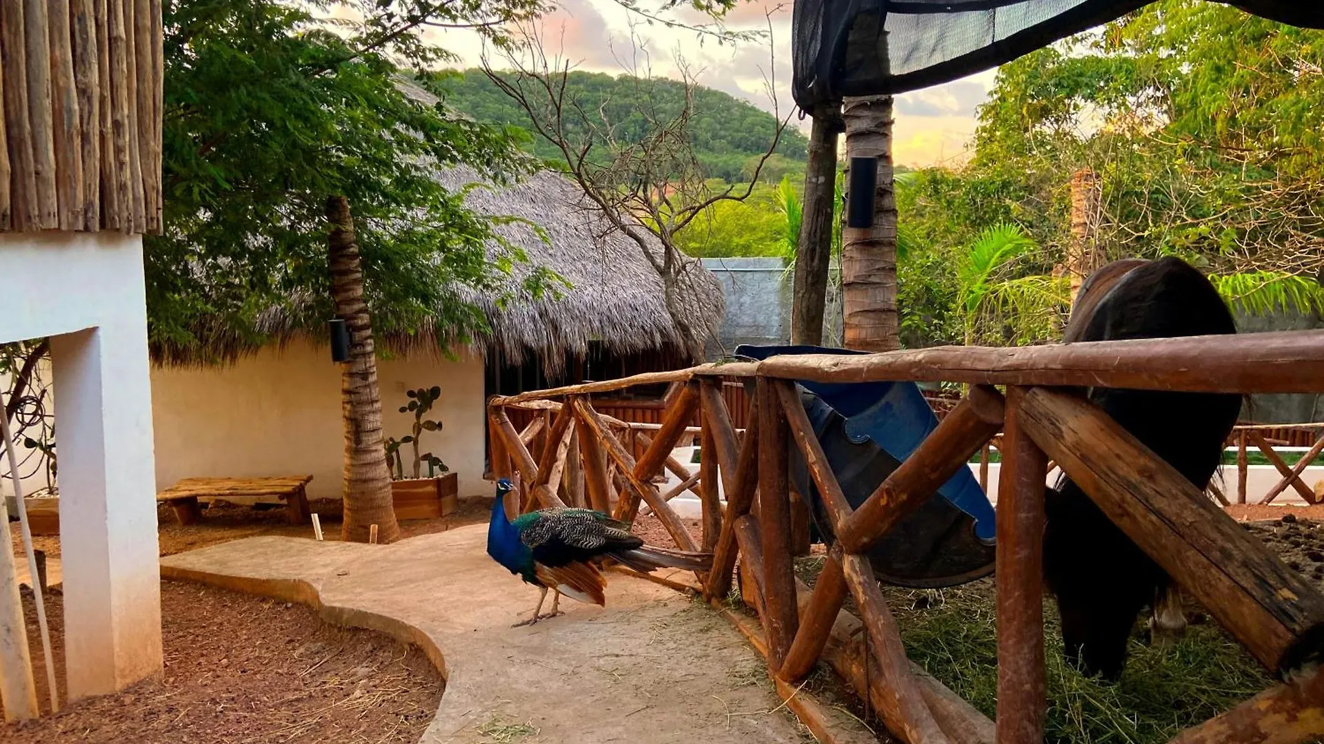 Palm Valley Cabins Mazatlán 0*,