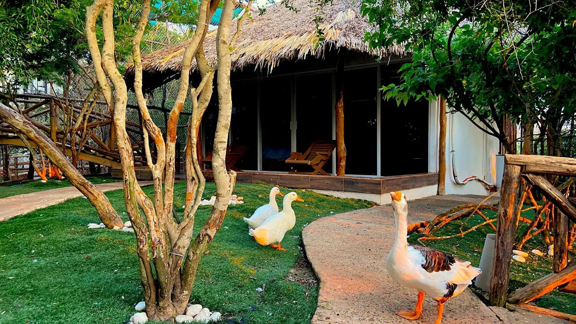 Palm Valley Cabins Mazatlán Camping