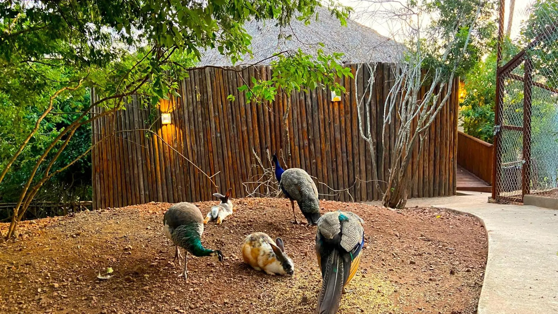 Palm Valley Cabins Mazatlan Campsite