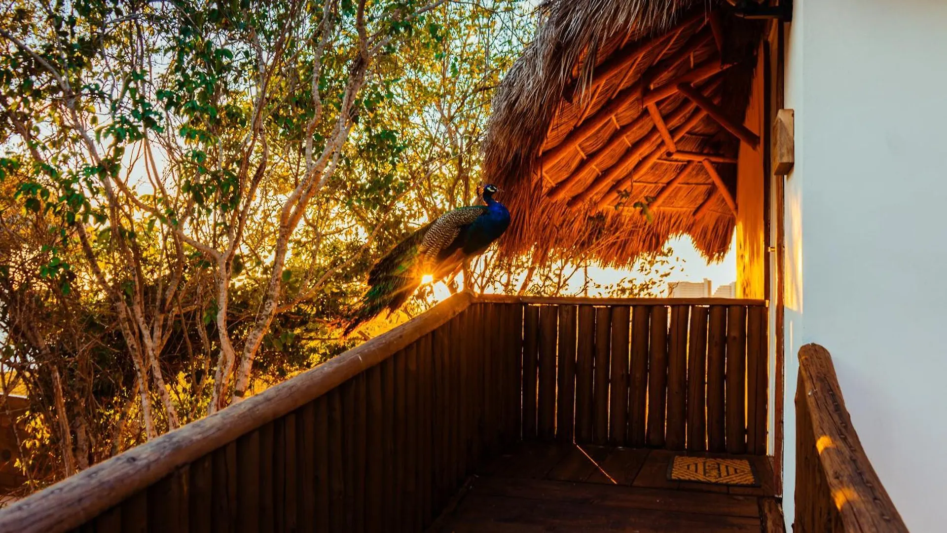 Palm Valley Cabins Mazatlan Campsite